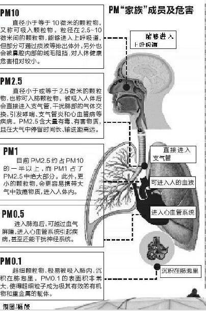 社科院等联合发布绿皮书：雾霾影响生殖能力