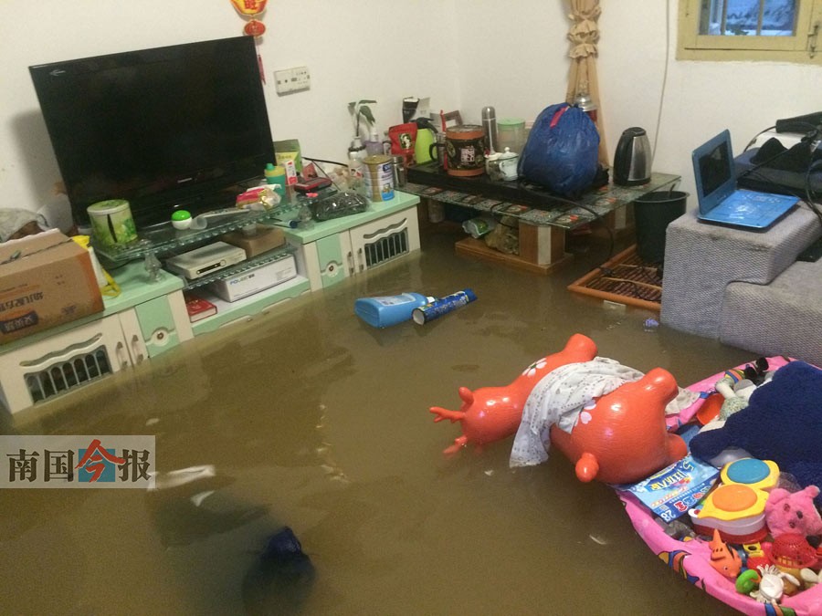 柳州市四县大雨成灾 未来两天或还有暴雨(组图)