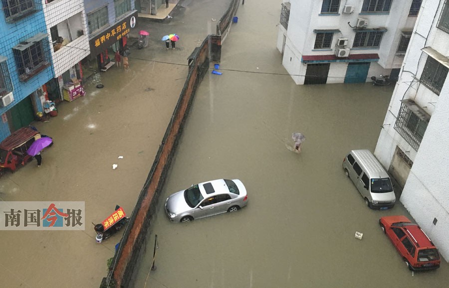 柳州市四县大雨成灾 未来两天或还有暴雨(组图)