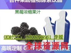 提供80ml猕猴桃浓缩果汁袋装饮品ODM厂家代加工图3