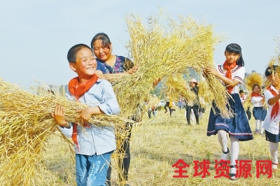 郑州一小学有个农趣园 师生们可在这播种劳作收获