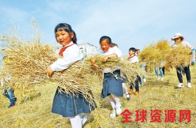 郑州一小学有个农趣园 师生们可在这播种劳作收获