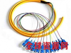 电信级12芯束状尾纤SC UPC单模束状长1.2米图3