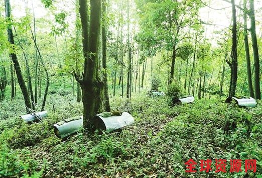 保护区外围林家铺附近蜂场。