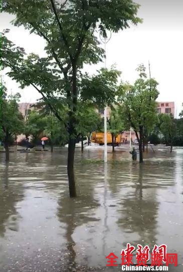 一场大雨，南京部分城区又见“碧波荡漾” 城管供图