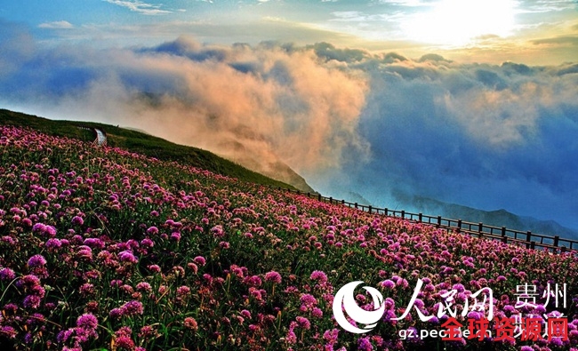 贵州屋脊·韭菜坪景区