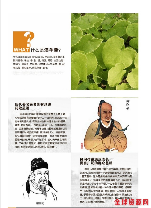 什么是淫羊藿.jpg