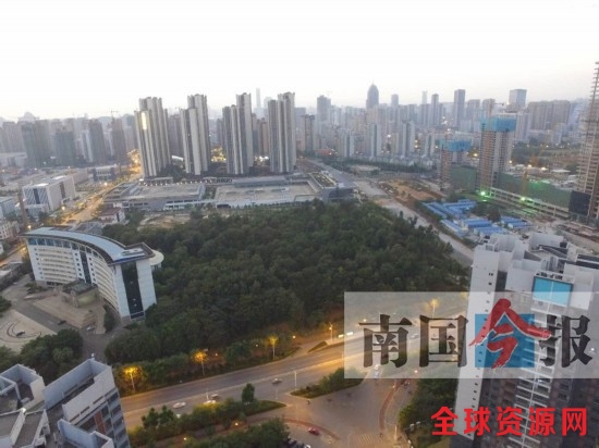 柳州市桂柳路公园现雏形 如掩映在城市中的森林