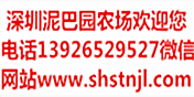 深圳泥巴园农场商家农家乐野炊基地生态园亲子游公司趣味运动会攻略