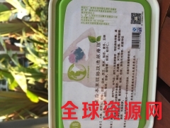 香港艾妮本草经络疏通药疗膜图2