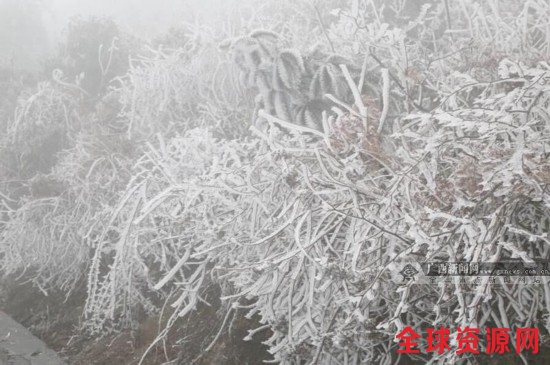 广西发布道路结冰黄色预警 桂北出现冰雪景观(图)