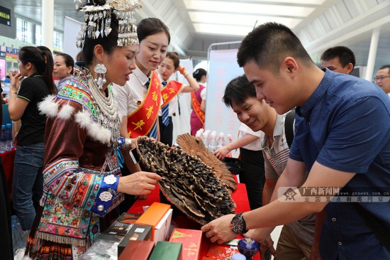 广西12个设区市已通高铁 高铁旅游助力乡村振兴