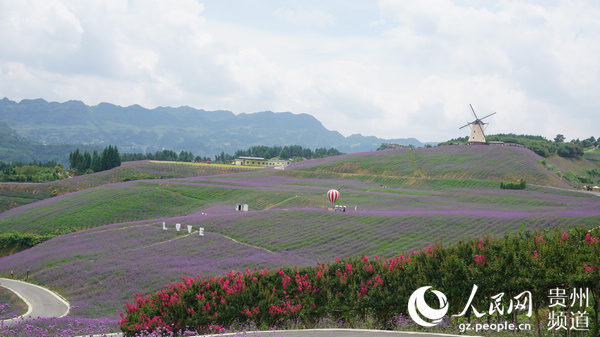 杉坪景区的美景。（李宇 摄）