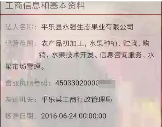 广西上万吨柿饼遭非法染色 被指上头有人无人监管