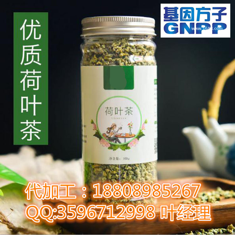 桑菊荷叶代用茶_副本.jpg