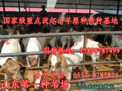 山东汇泉牧业大型肉牛羊肉驴育种养殖场-郑重服务承诺图1