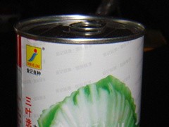 三叶选大肉包心大芥菜203-50图1