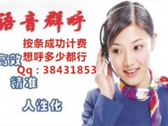 语音群呼按条成功计费图1