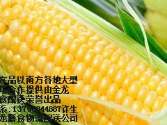 长安蔬菜配送公司长安学校工厂食堂承包蔬菜配送图1