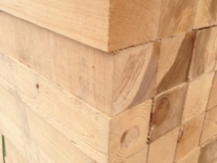 上海我们厂家卖优质的铁杉  材质优厚图1