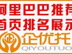 苏州电子商务营销运营策划哪里好 企优托图1