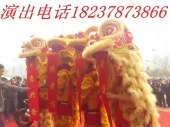 郑州舞狮队图1