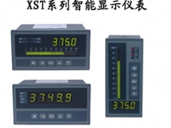 XST系列单通道智能数显表图1