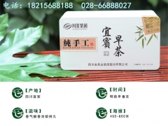 成都<天府龙芽>叙府明前早春茶108g价格多少?图1