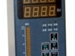 LRR55E蓝屏无纸记录仪图1