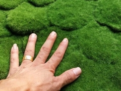 银川市 仿真植物墙绿色假草坪 植毛海棉青苔草皮 苔藓图1