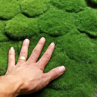 绍兴市 仿真植物墙绿色假草坪 植毛海棉青苔草皮 苔藓