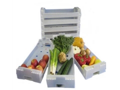 辰邦塑料包装提供良好的中空板水果箱：水果包装箱供应图1