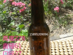 江苏高质量的啤酒瓶厂家专业报价_个性棕色玻璃瓶图1
