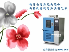 上海林频-40℃高低温测试箱 苏州办图1