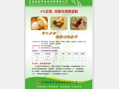 青岛蛋鸡育雏预混料~胶南蛋鸡育雏预混料@青岛金龙饲料【天然】图1