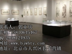 供应北京金属展柜介绍图片服务好 文物展柜图1