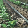 河北润田生产出售--便宜大棚蔬菜滴灌灌溉塑料管