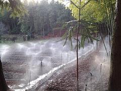 哪里能买到质量好的灌溉设备——灌溉系统施工图1
