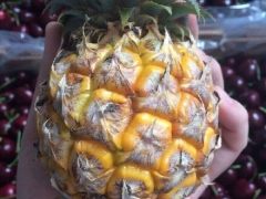 泰国mini小菠萝好吃吗？|微信号：tgjksg图1