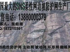 主动防护网RX025RX050RX075，市场上畅销的GPS2主动网供应商图1