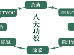 纳米光触媒二氧化钛 可见光光触媒原料图2