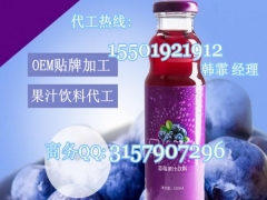 蓝莓浓缩果汁饮料OEM|植物蛋白饮料代加工图1