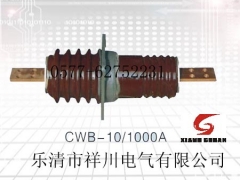 高压穿墙套管CWW-10/1000上哪买比较好_高压穿墙套管CWW-10/1000代理图1