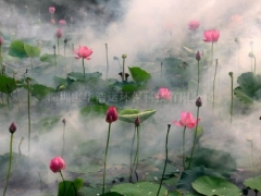 济南景观造雾图1