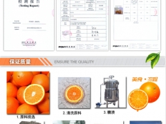 香橙干可信赖，在哪有价格合理的即食橙片供应图1