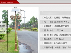 广西新农村建设太阳能庭院灯、新农村建设专用路灯图3