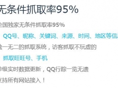 上海访客QQ抓取软件|哪里有提供口碑好的qq抓取软件图1