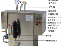 原厂正品电蒸汽发生器 小型热水锅炉电蒸汽锅炉24KW电加热图1