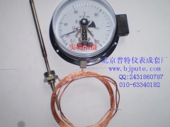 供应普特WTZ-288压力式电接点温度计 北京温度计图1