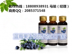 QS认证蓝莓果汁饮品OEM/ODM代加工厂专业团队 精益设备图1